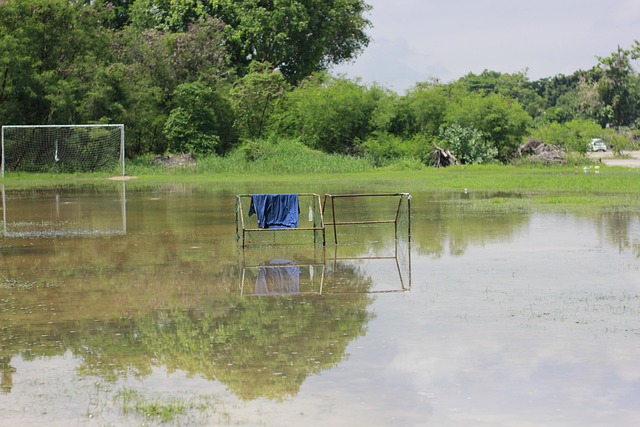 大多是因为 大多是因为