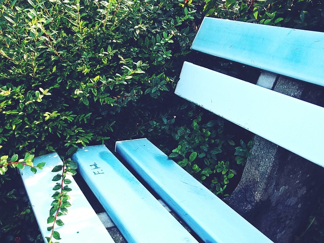 的佼佼者 的佼佼者