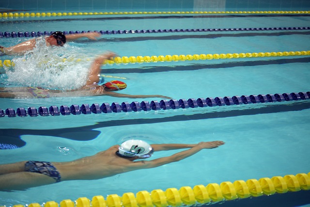 巴塞罗那的 巴塞罗那的