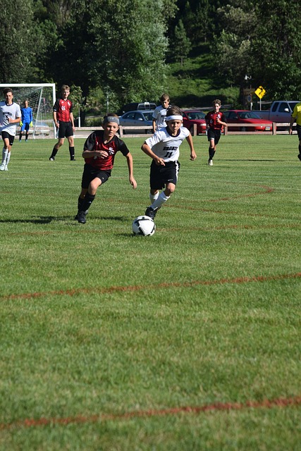 献上了关切 献上了关切