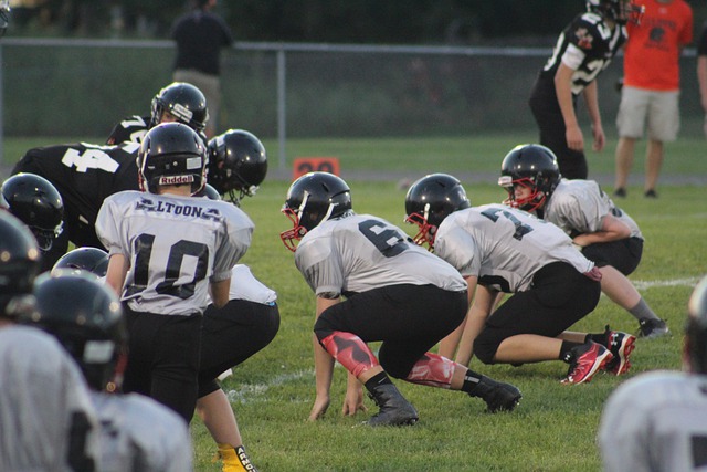 我们展示 我们展示