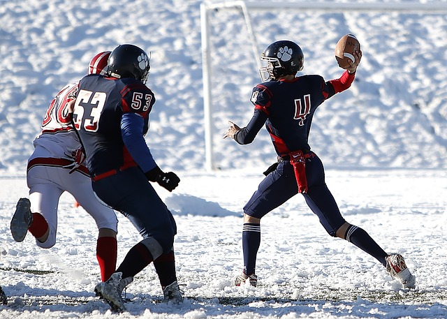 恩里克的足 恩里克的足