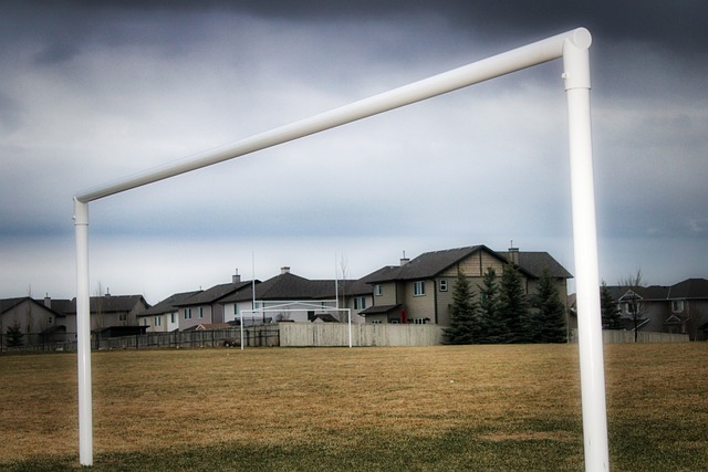 逼阻断了德 逼阻断了德