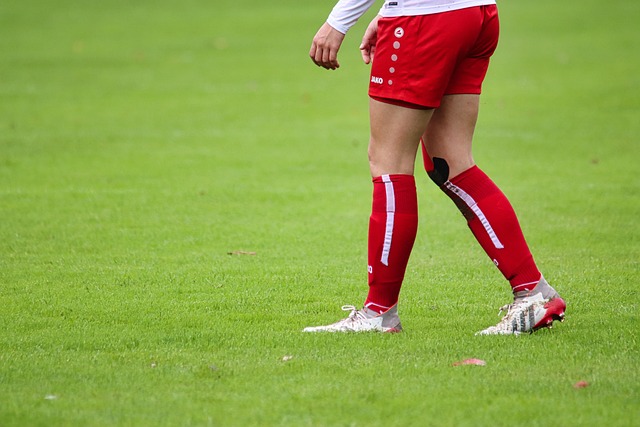 后的共情狂 后的共情狂