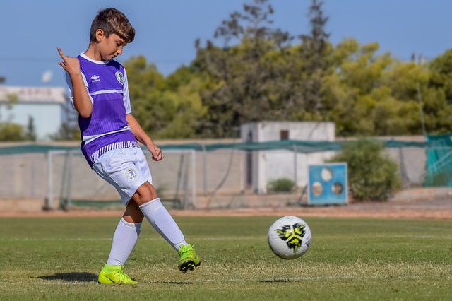 敏锐的判断 敏锐的判断